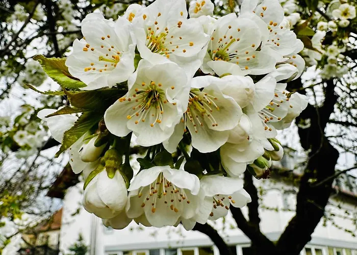 Gaestehaus Gn8 Bed & Breakfast