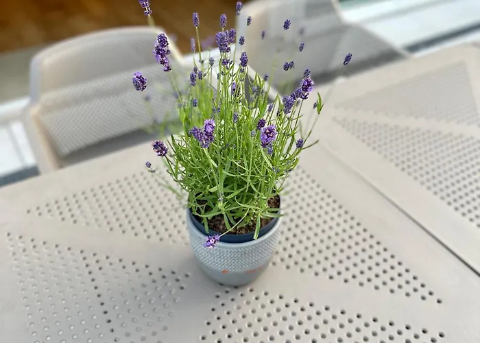 Gaestehaus Gn8 B&B 3*