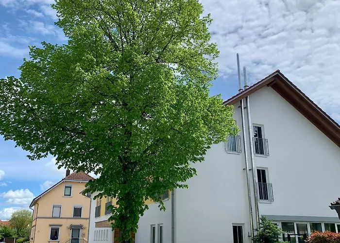 Gaestehaus Gn8 리라신겐보블린겐